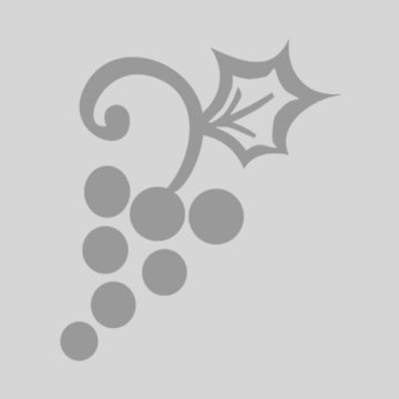 Matt L. - Assistant Manager